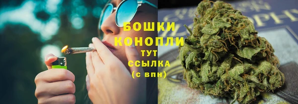 дмт Медногорск