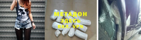прущие грибы Мегион