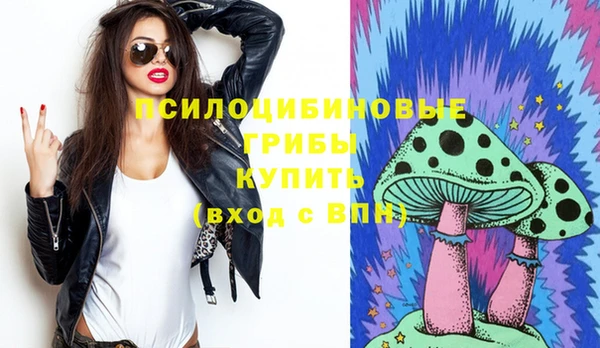 прущие грибы Мегион