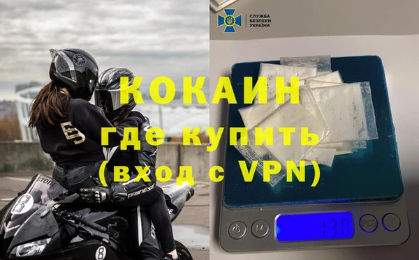 прущие грибы Мегион
