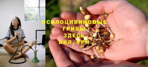 дмт Медногорск